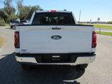 New 2024 Ford F150 XLT w/ Equipment Group 303A High image 4