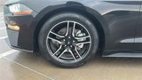 Used 2022 Ford Mustang Premium image 4
