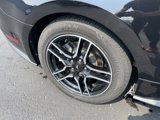 Used 2021 Ford Mustang Premium image 3