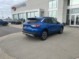 Used 2020 Ford Escape SEL image 4