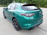 New 2025 Alfa Romeo Stelvio Tributo Italiano w/ Driving Assist Package image 3