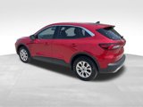 Used 2023 Ford Escape Active w/ Tech Pack #1 image 4