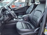 Certified 2022 Ford Escape SEL image 3