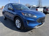 Used 2022 Ford Escape SE w/ Convenience Package image 4