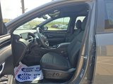Certified 2024 Hyundai Santa Cruz SEL w/ Activity Package image 3
