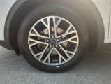 Used 2020 Ford Escape SEL image 4