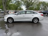 Used 2017 Hyundai Sonata SE w/ Cargo Package image 4