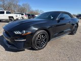 Used 2022 Ford Mustang Premium image 5