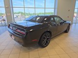 Used 2019 Dodge Challenger SXT w/ Blacktop Package image 6