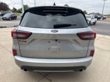Used 2024 Ford Escape ST-Line image 3