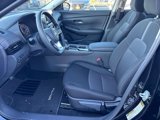 New 2025 Nissan Sentra SV image 5