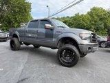 Used 2013 Ford F150 FX4 w/ Luxury Equipment Group image 2
