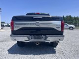 Used 2015 Ford F150 King Ranch w/ Equipment Group 601A Luxury image 6