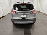Used 2014 Ford Escape SE w/ Equipment Group 201A image 4