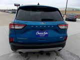 Used 2020 Ford Escape Titanium image 4
