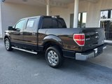 Used 2013 Ford F150 XLT w/ Luxury Equipment Group image 3