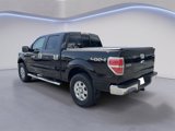 Used 2013 Ford F150 XLT w/ Luxury Equipment Group image 5