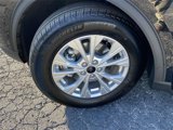 New 2025 Ford Escape Active image 6
