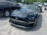 Used 2019 Ford Mustang Premium w/ Equipment Group 201A image 2