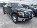 Used 2013 Ford F150 XLT w/ Luxury Equipment Group image 4