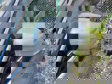 Certified 2022 Volvo XC60 B5 Momentum image 6