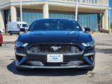 Used 2021 Ford Mustang Coupe image 2