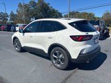 New 2025 Ford Escape ST-Line w/ Tech Pack #1 image 3