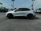 Used 2020 Ford Escape SE image 6