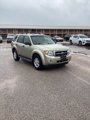 Used 2011 Ford Escape XLT w/ 202A Rapid Spec Order Code image 3