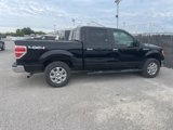 Used 2013 Ford F150 XLT w/ Luxury Equipment Group image 3