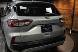 Used 2020 Ford Escape SEL image 6
