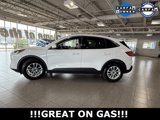 Used 2020 Ford Escape SE image 5