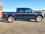 Used 2018 Ford F150 Platinum w/ Equipment Group 701A Luxury image 6