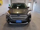 Used 2019 Ford Escape Titanium image 2