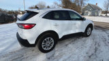 Used 2021 Ford Escape SE w/ Convenience Package image 5