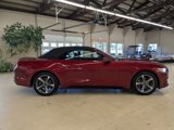 Used 2015 Ford Mustang Convertible w/ Equipment Group 051A image 4