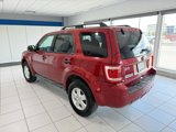 Used 2012 Ford Escape XLT image 3