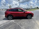 New 2025 Ford Escape ST-Line image 5