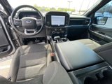 Certified 2023 Ford F150 XLT w/ Equipment Group 302A High image 2