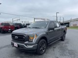 Certified 2023 Ford F150 XLT w/ Equipment Group 302A High image 3