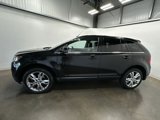 Used 2014 Ford Edge Limited w/ Equipment Group 301A image 2