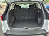Used 2019 Ford Escape SE image 6
