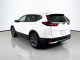 Used 2020 Honda CR-V EX-L image 3