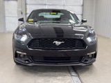 Used 2015 Ford Mustang Coupe w/ Equipment Group 051A image 2