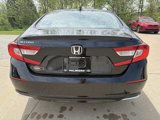 Used 2022 Honda Accord EX-L image 4