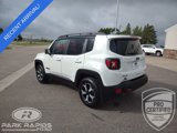 Used 2019 Jeep Renegade Trailhawk w/ Cold Weather Group II image 3