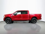 Used 2021 Ford F150 XLT w/ Equipment Group 302A High image 4