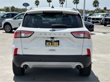 Used 2020 Ford Escape SEL image 5