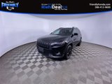 View Video