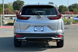 Used 2020 Honda CR-V EX-L image 5